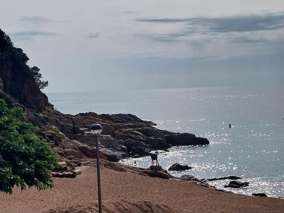 شقة Cala Salions Balandro II Tossa De Mar كانيه دي مار المظهر الخارجي الصورة