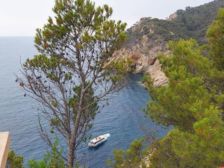 شقة Cala Salions Balandro II Tossa De Mar كانيه دي مار المظهر الخارجي الصورة