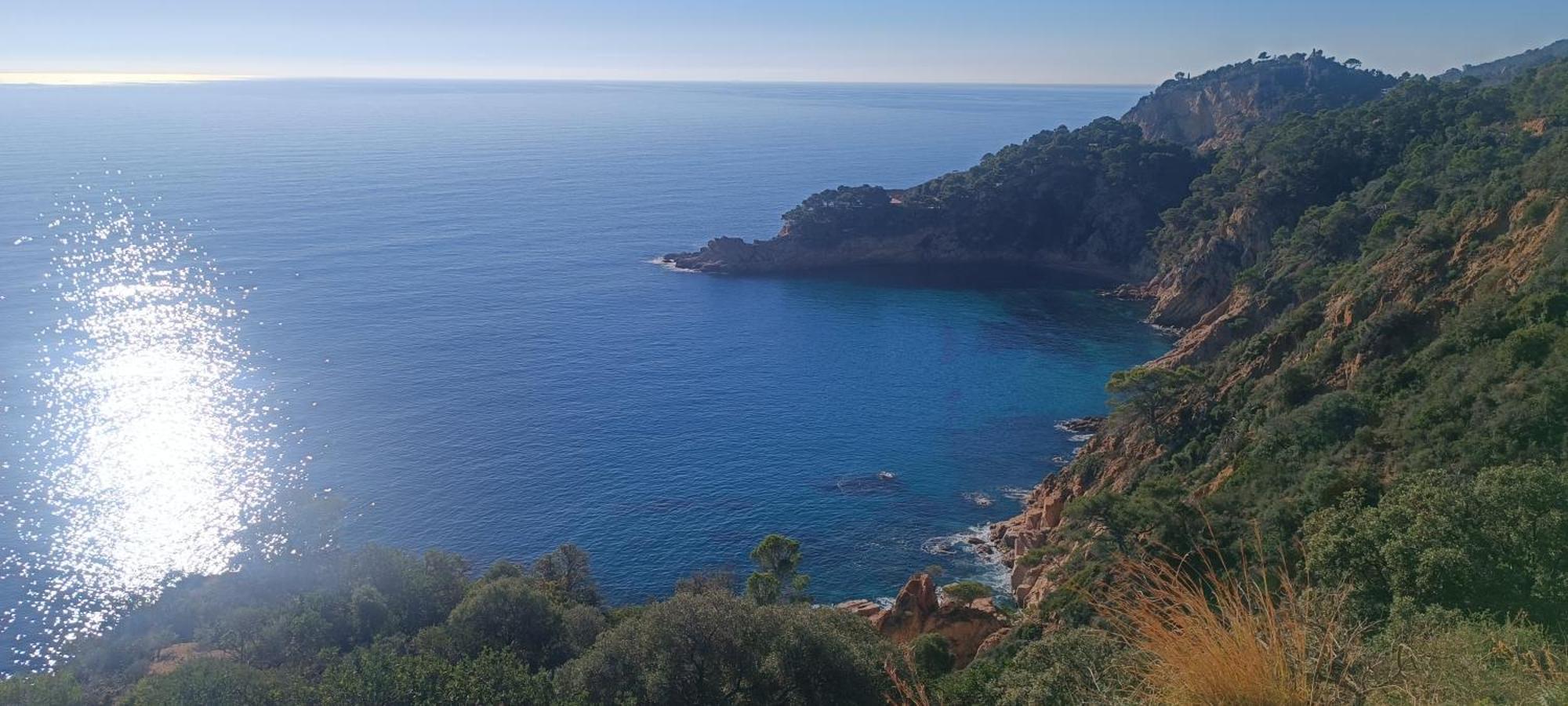 شقة Cala Salions Balandro II Tossa De Mar كانيه دي مار المظهر الخارجي الصورة