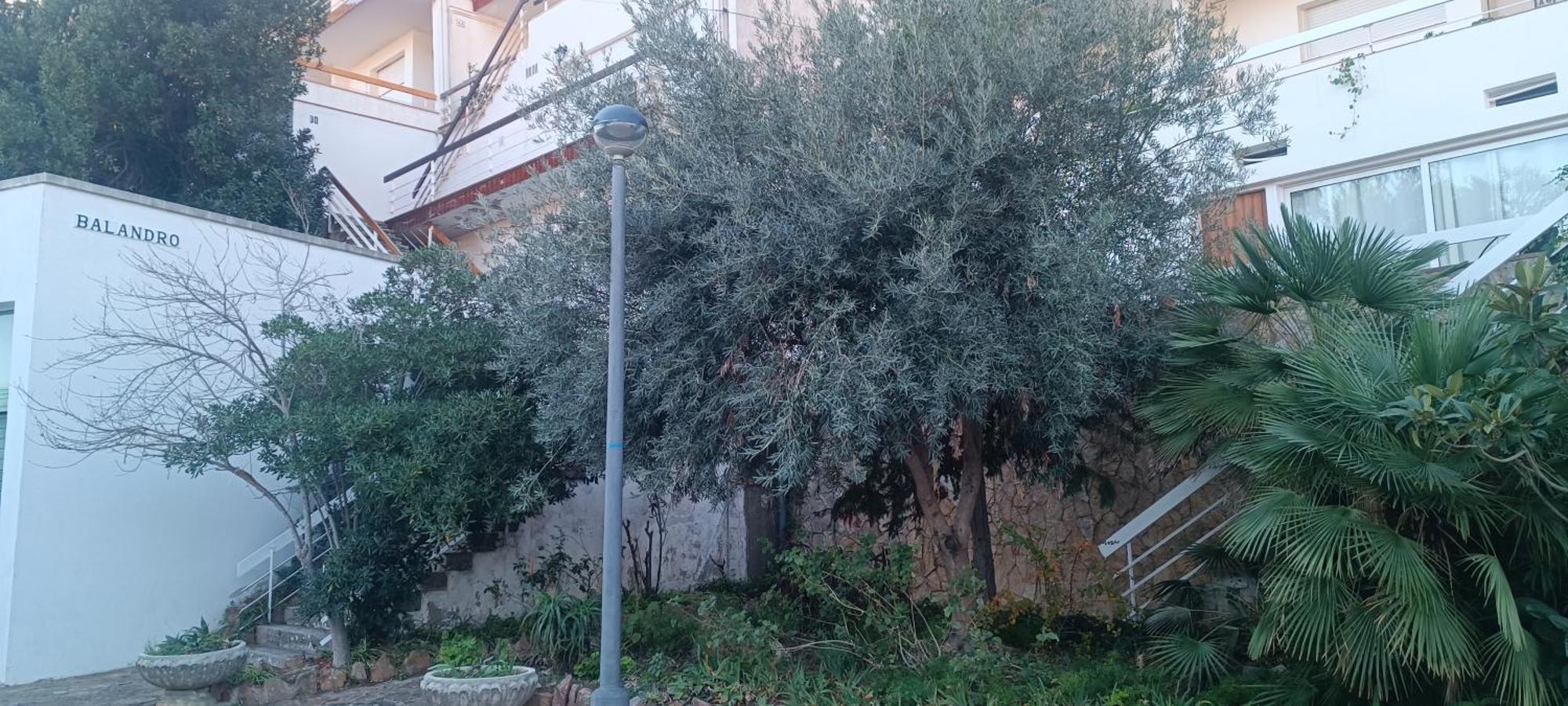 شقة Cala Salions Balandro II Tossa De Mar كانيه دي مار المظهر الخارجي الصورة